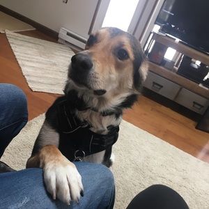 Meet your Posher, Jaydee